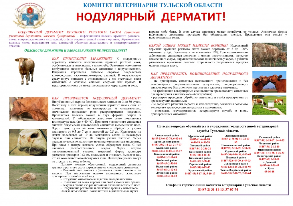 �������-����������-��������-14.11.2016.jpg