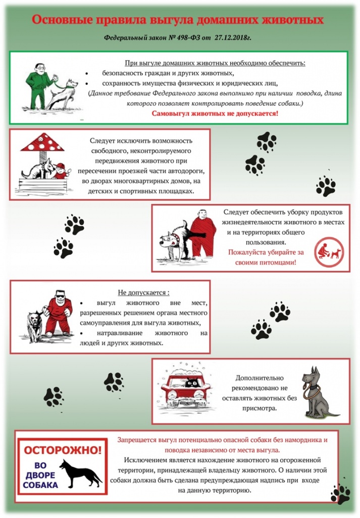 Памятки по правилам содержания домашних животных. Выгул домашних животных закон. Правила содержания домашних животных. Памятка правила содержания собак.